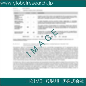 グローバルリサーチ調査資料のイメージ